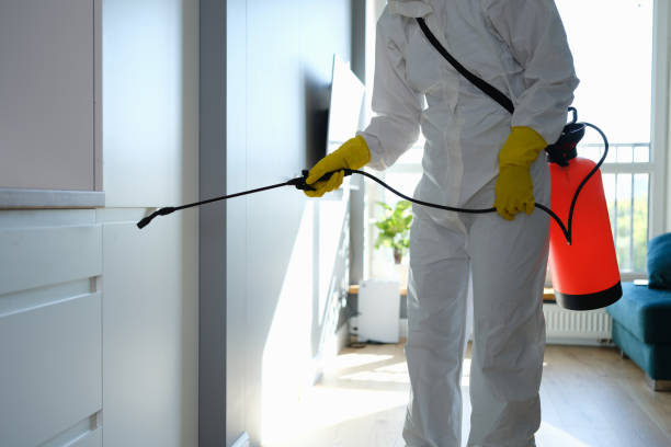 Best Mold Remediation Services  in Mitchellville, IA