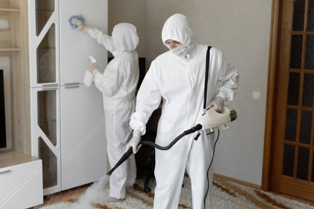 Best Residential Mold Removal  in Mitchellville, IA