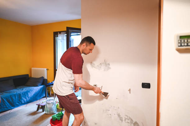 Best Mold Testing  in Mitchellville, IA