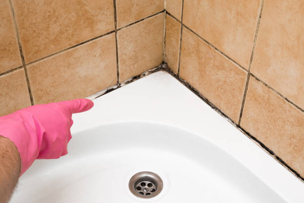 Best Fast Mold Removal  in Mitchellville, IA